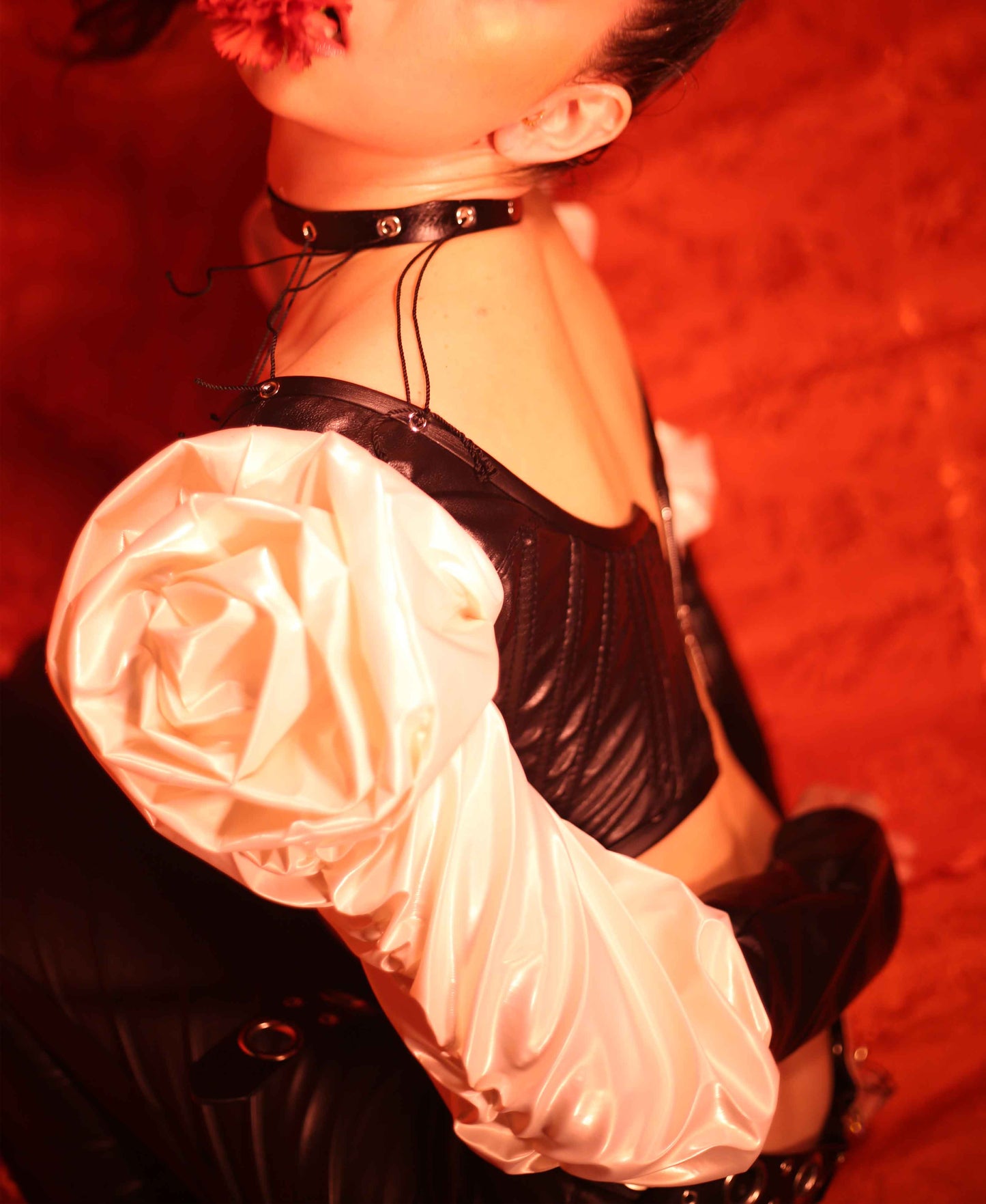 Faux leather corset and Rose design sleeves