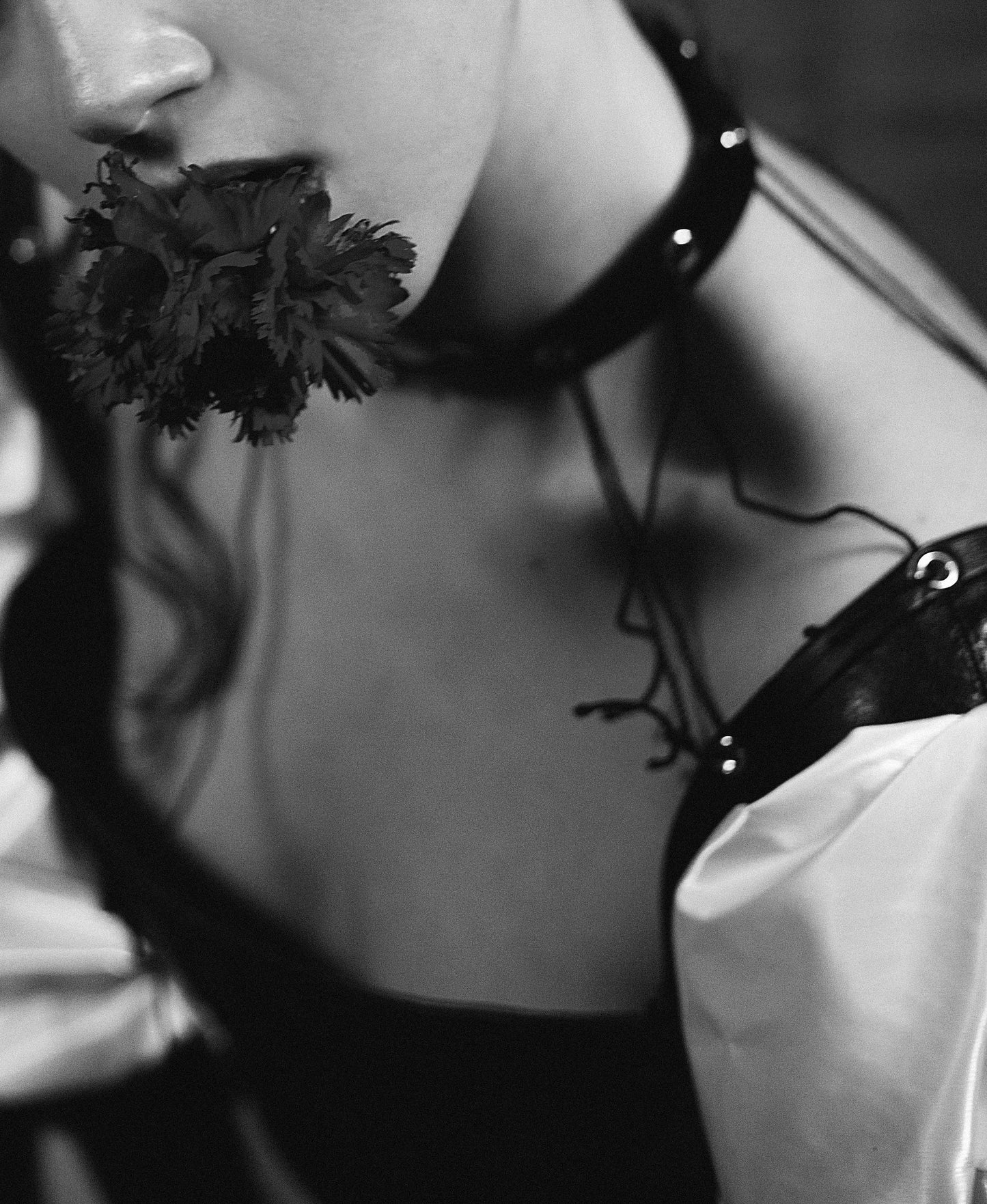 Faux leather corset and Rose design sleeves